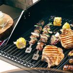 نکات انتخابی برای خرید باربیکیو ایده‌آل با توجه به نیازها و فضای موجود