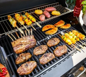 ارائه بهترین باربیکیو ذغالی - کباب پز ذغالی